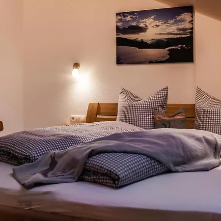 Appartement Anton Geierstanger *