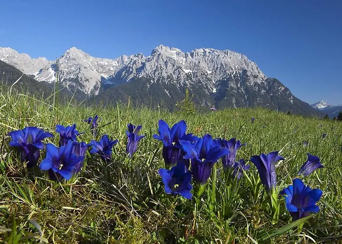Anton Geierstanger Wallgau